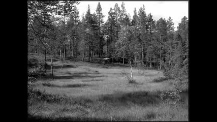 Dunkelheit-Най-Добрия Кавър на Burzum