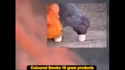 Цветни Димки