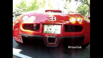 Exotic Car Show - Start Ups Revs Accelerations Flybys & More