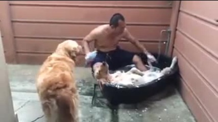 Това куче определено обича да го къпят!
