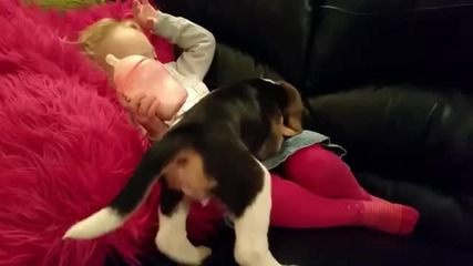 Кученце се опитва да достигне детето на дивана: когато най-накрая го прави вашето сърце ще се стопи