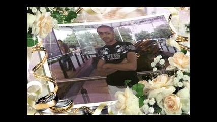 idialnite 2011