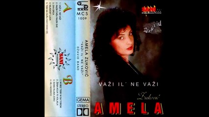 Amela Zukovic - Ako nisam ja tebe voljela