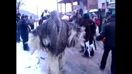 kukeri 2011