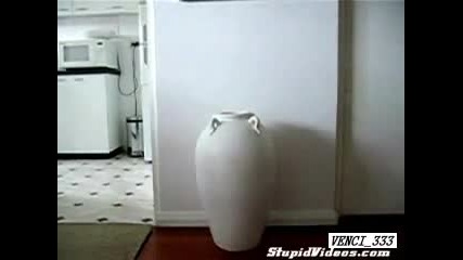 Котка и ваза 