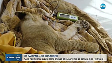 Новините на NOVA (30.01.2018 - централна емисия)