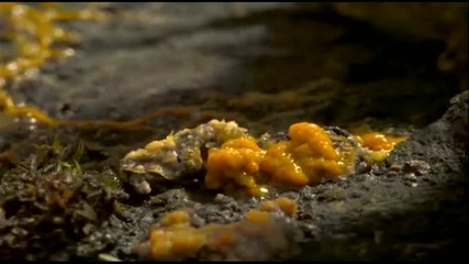 Enigma - The Child In Us (hd Earth Scenes) 