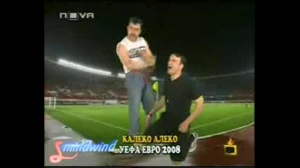 Калеко Алеко на Euro 2008