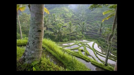 Nice 10 Trance Tracks