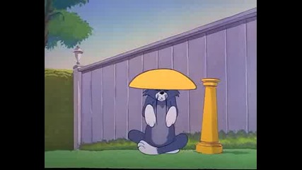 Tom & Jerry - Little Runaway