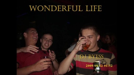 Dj Byess - Wonderful Life 