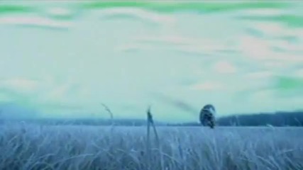Cosmic Gate - Exploration Of Space (2001)