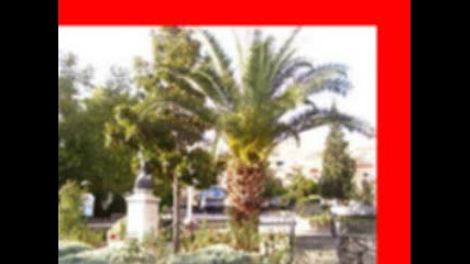 Manolis Aggelopoulos - Mia Molivia