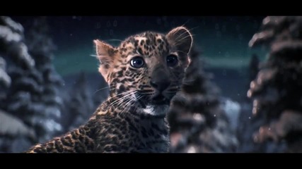 Cartier Winter Tale