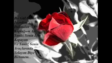 Ebru Yasar - Helalim 