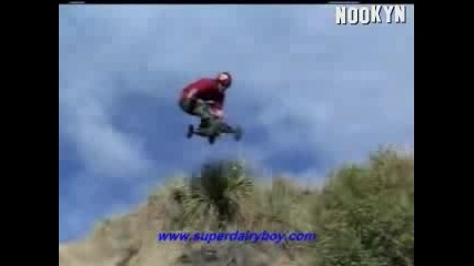 No risk,  no fun 2