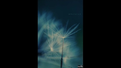Flipsyde - Happy Birthday