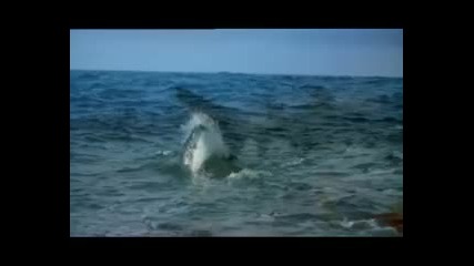 Майк Олдфийлд Видео музика на сферите,