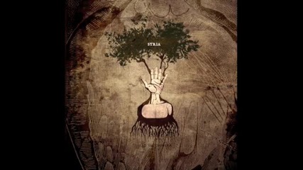 Stria - Better Than I
