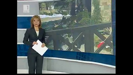 Започна разчистването на Барбекюто на Доган bnt 10 март 2011 