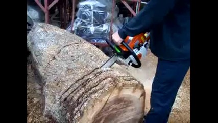 Stihl Ms250 Startup and cuts 