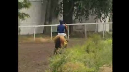 Надбягвания-  Ахалтекински  коне -  2007год.