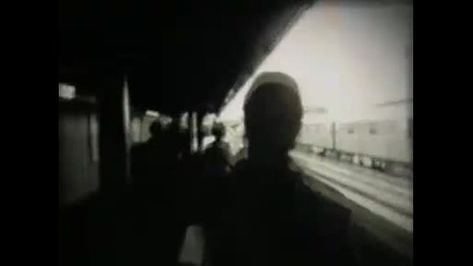 The Frames - Star Star**