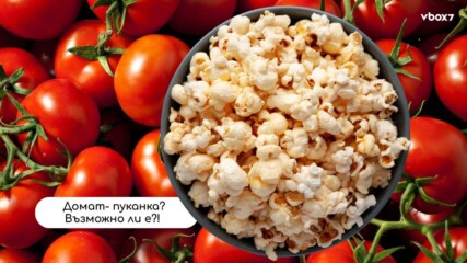 Домат с вкус на пуканки?! Учени в Китай взривиха хранителния trend на бъдещето🍅🍿
