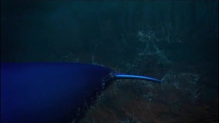2/2 Легенда за Морето * Бг Аудио * Анимация - Legend of the Sea animation