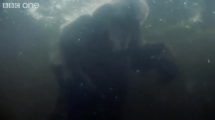 Красотата в природата [hd]