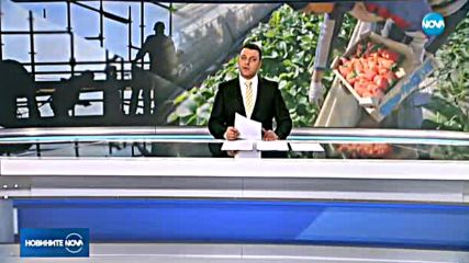 Новините на NOVA (24.10.2017 - обедна емисия)