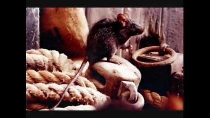 Ferdinand Magellan Фернандо Магелан 