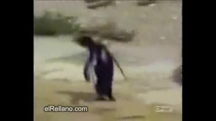 техно пингвин (смях)