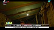 Да хванеш гората | 8 февруари 2026