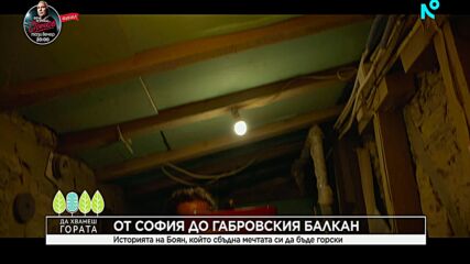 Да хванеш гората | 8 февруари 2026