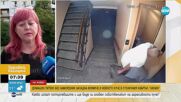Домашен питбул без намордник нападна момиче и нейното куче в столичния квартал "Люлин"