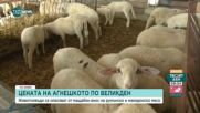 Овцевъди готови да блокират границите с Гърция и РСМ заради цената на агнешкото