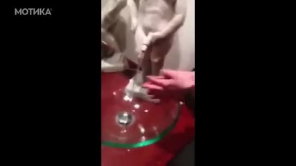 Смешна чешма в женска тоалетна