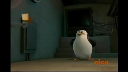 The Penguins of Madagascar - The Penguin Stays in the Picture S01e47 