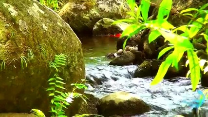 Relaxing Music - Meditation Music - Soothing Music - Massage Music by J. Michele Bodine