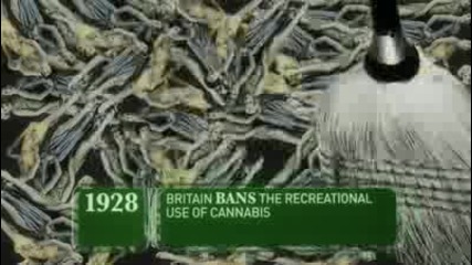 History of Weed Part Ii 