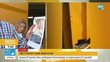 Кучета в клетки бяха затворени в контейнер на сметището в Самоков