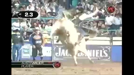 Austin Meier Vs Player 