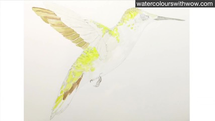 Как да нарисуваме колибри с 3 D ефект използвайки акварел /урок от Anna Mason/