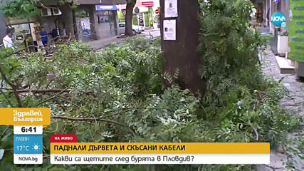 Какви са щетите след бурята в Пловдив