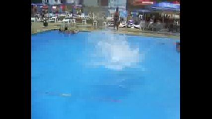 Gogito