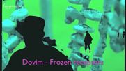Dovim - Frozen Receptors ( Original Mix )