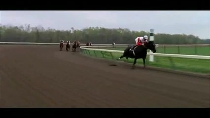 Equestrian- Horse Racing Commercial