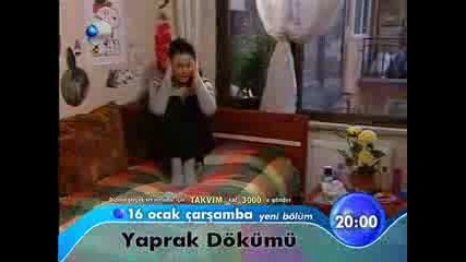 Yaprak Dokumu