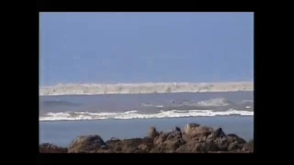 2004 Boxing Day Tsunami